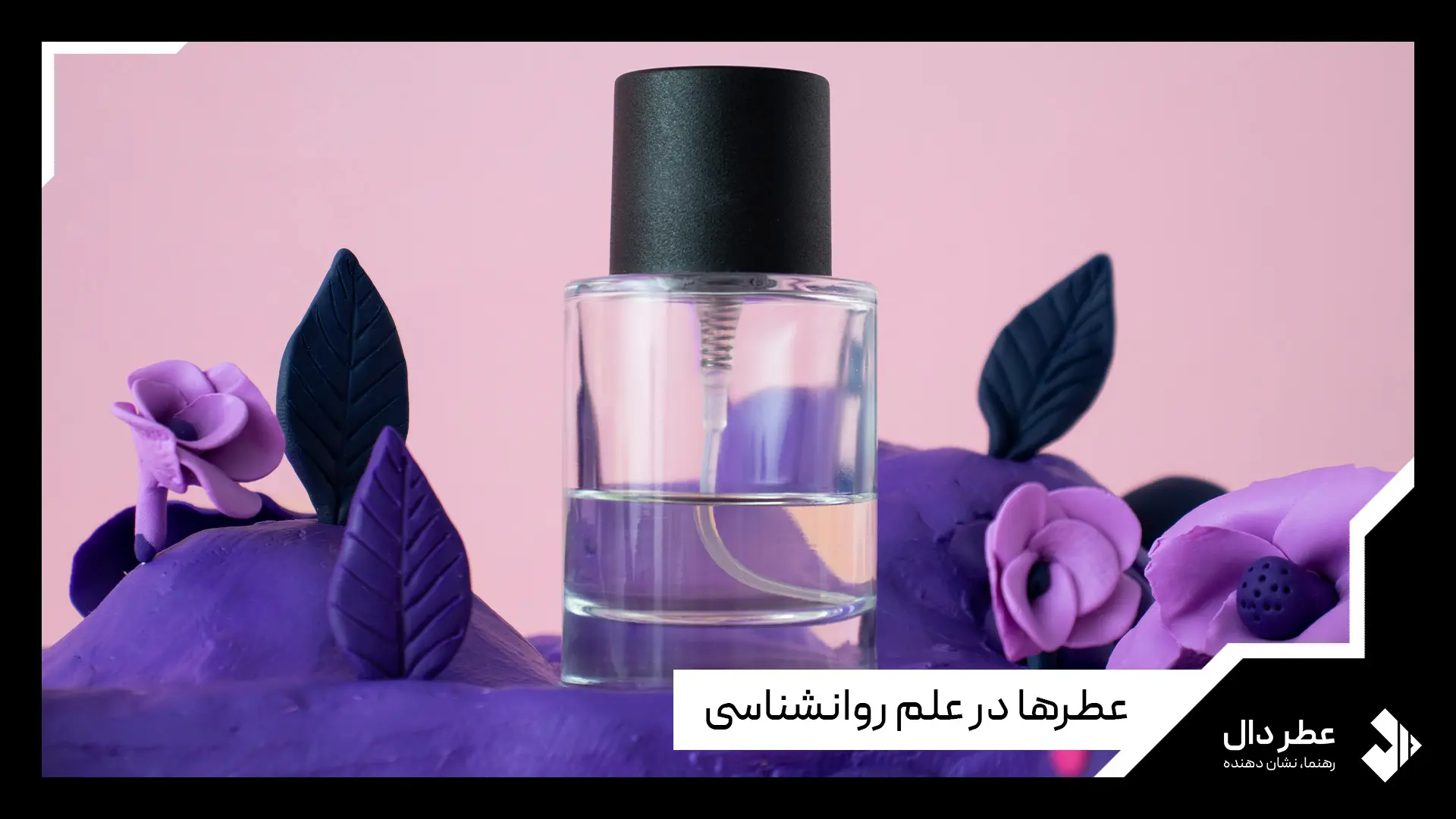 روانشناسی عطر چیست