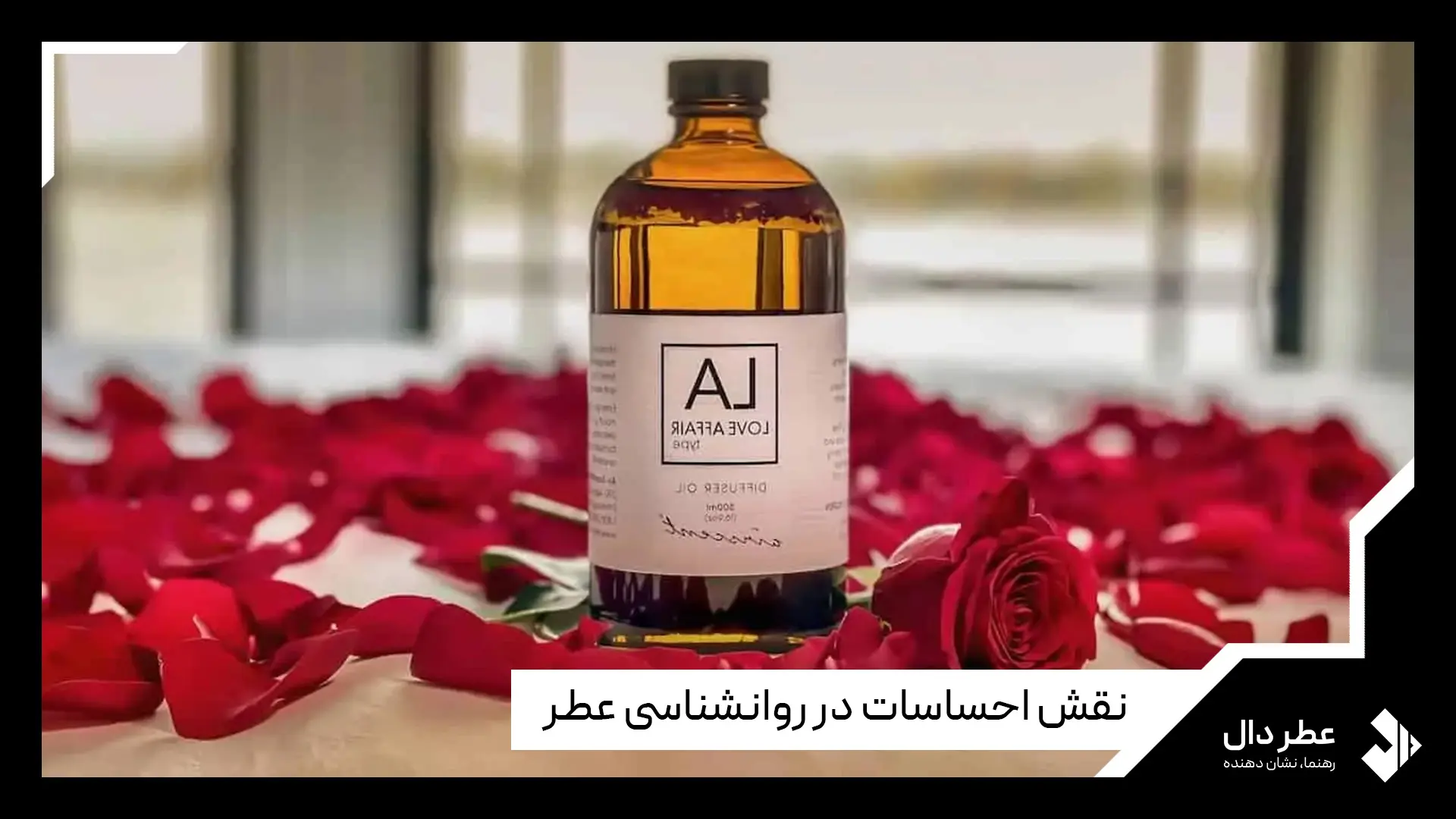 روانشناسی عطر