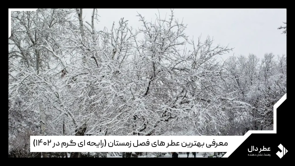 بهترین عطرهای فصل زمستان