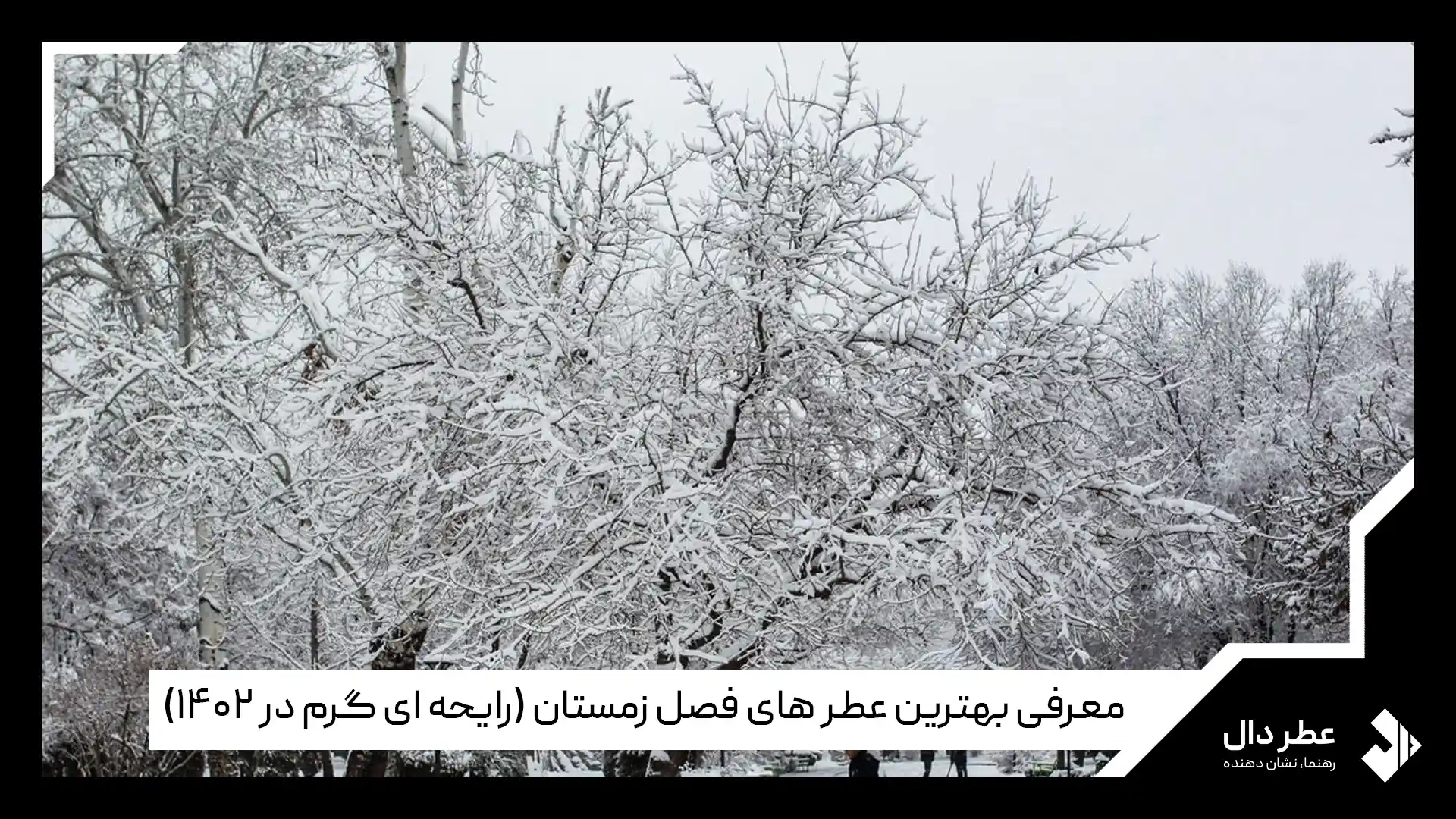 بهترین عطرهای فصل زمستان