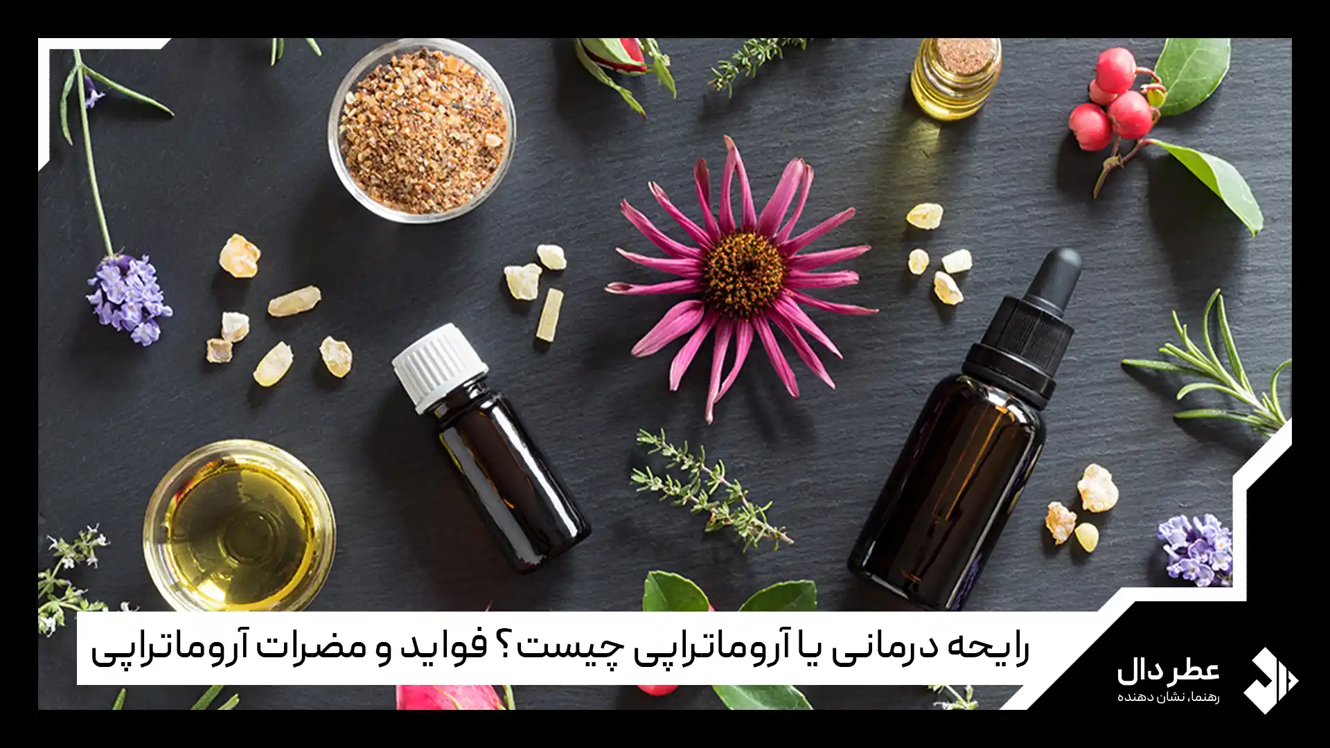 رایحه درمانی چیست