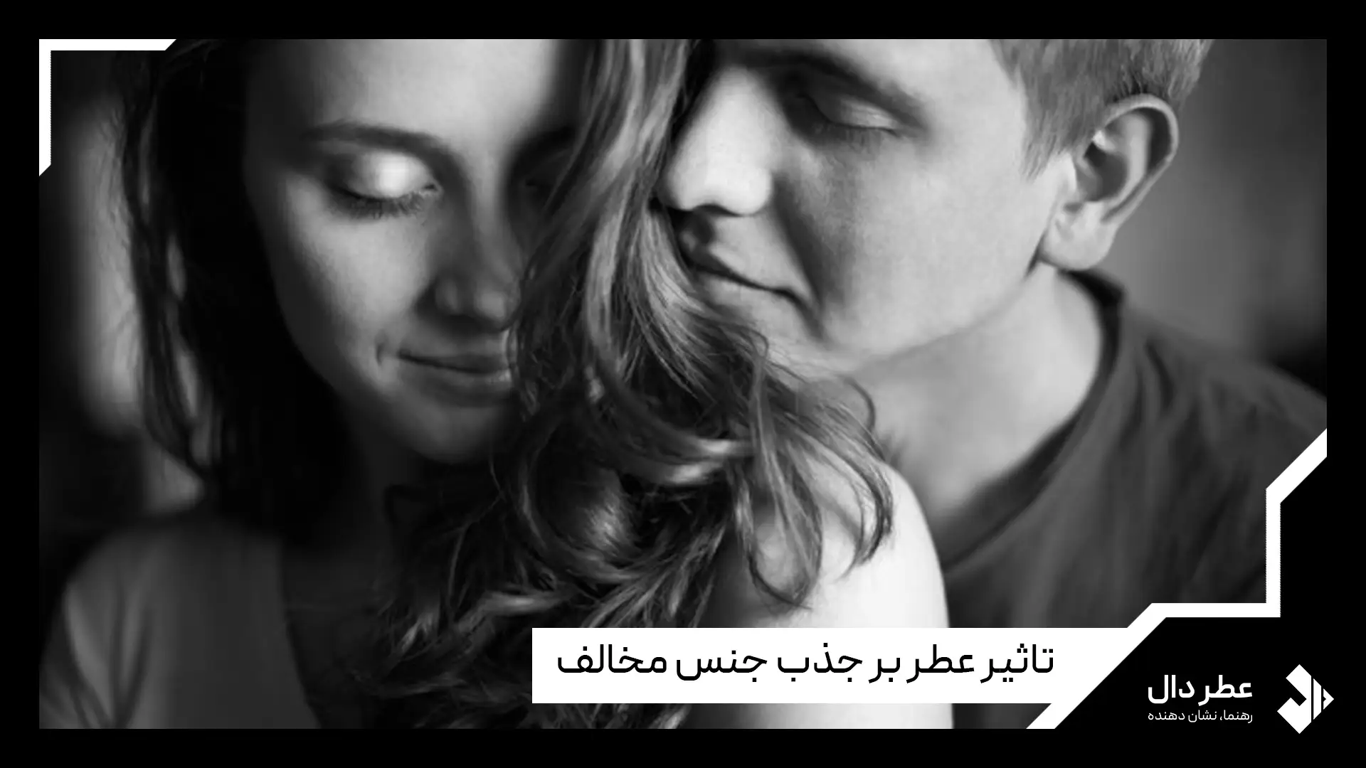 تاثیر عطر بر جذب جنس مخالف