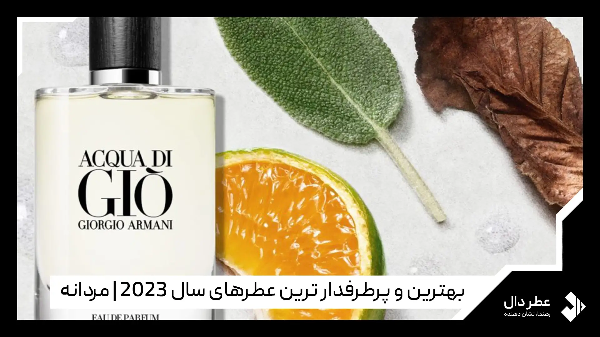 پرطرفدار ترین عطرهای سال 2023