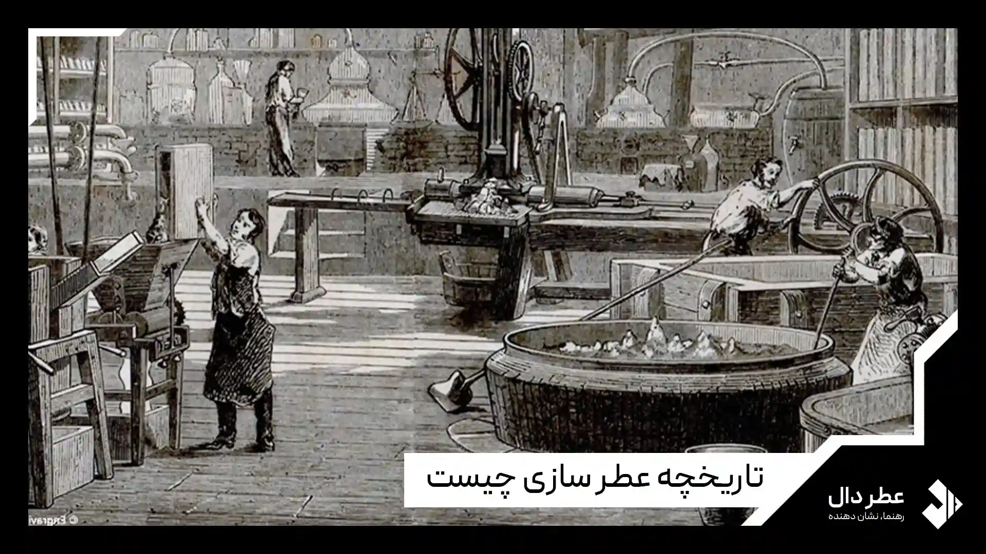 تاریخچه عطر سازی