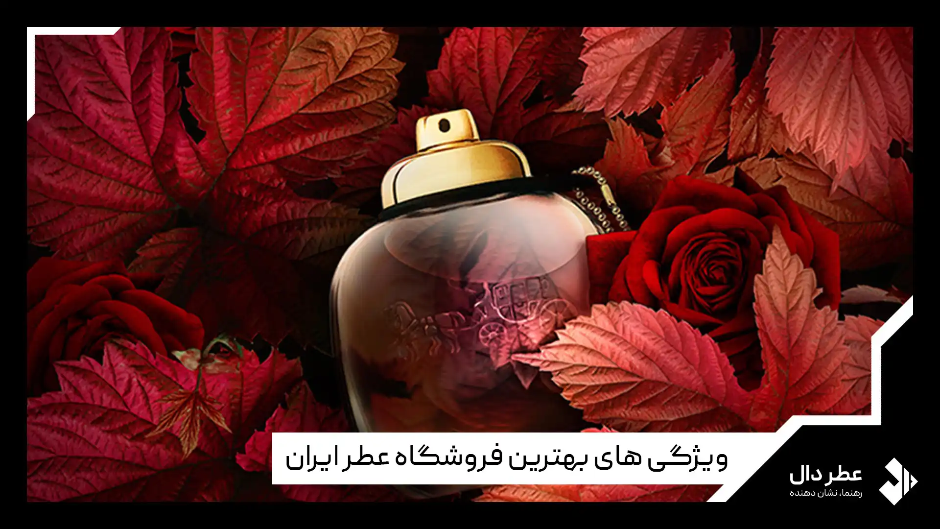 بهترین عطر فروشی ایران