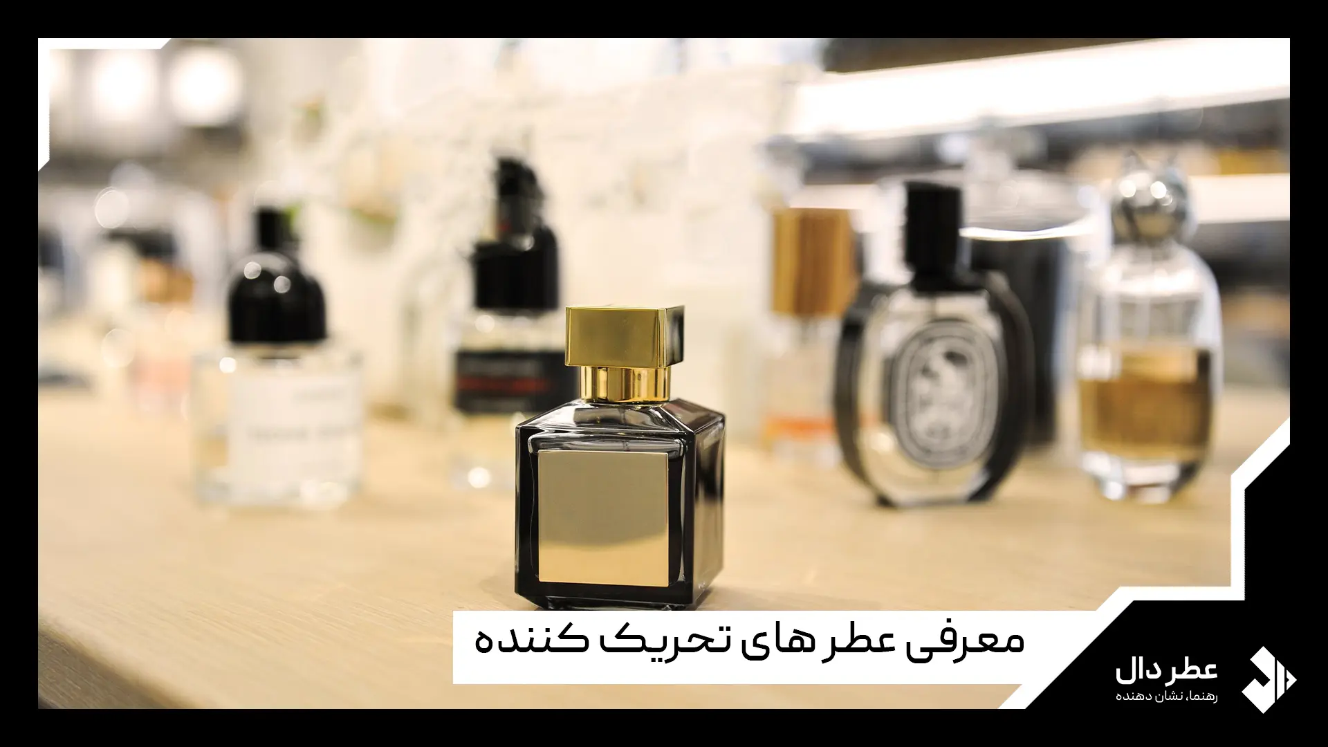 تاثیر عطر بر جذب جنس مخالف