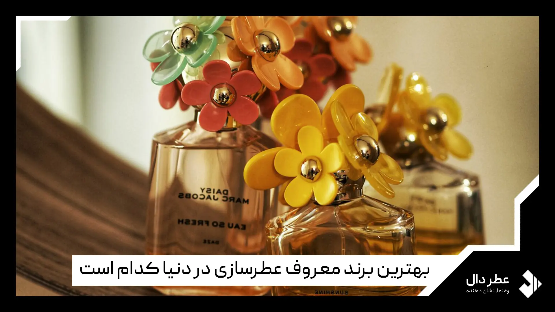 تاریخچه عطر سازی