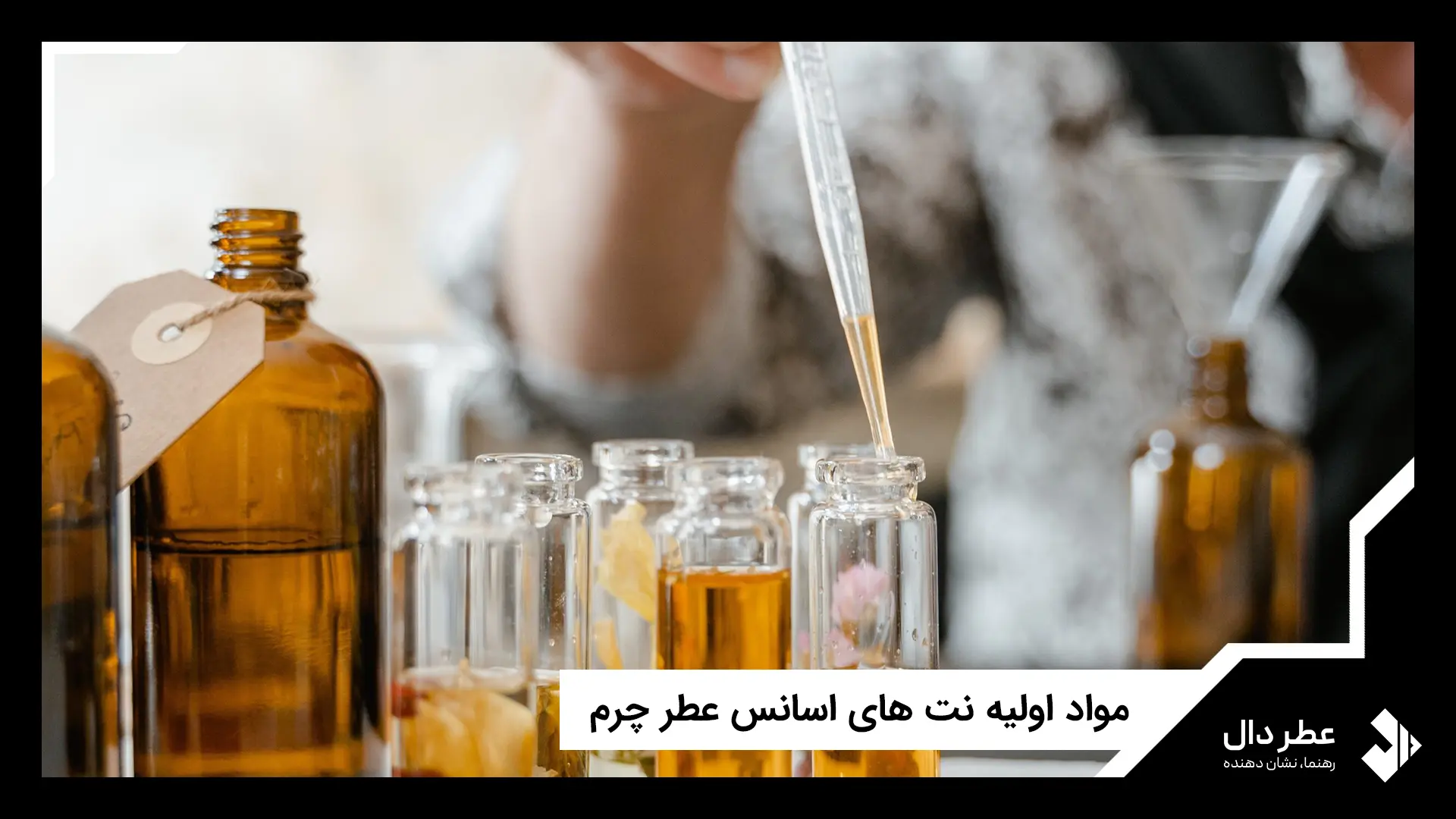 مواد اولیه نت های اسانس عطر چرم