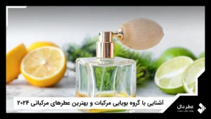 آشنایی با گروه بویایی مرکبات
