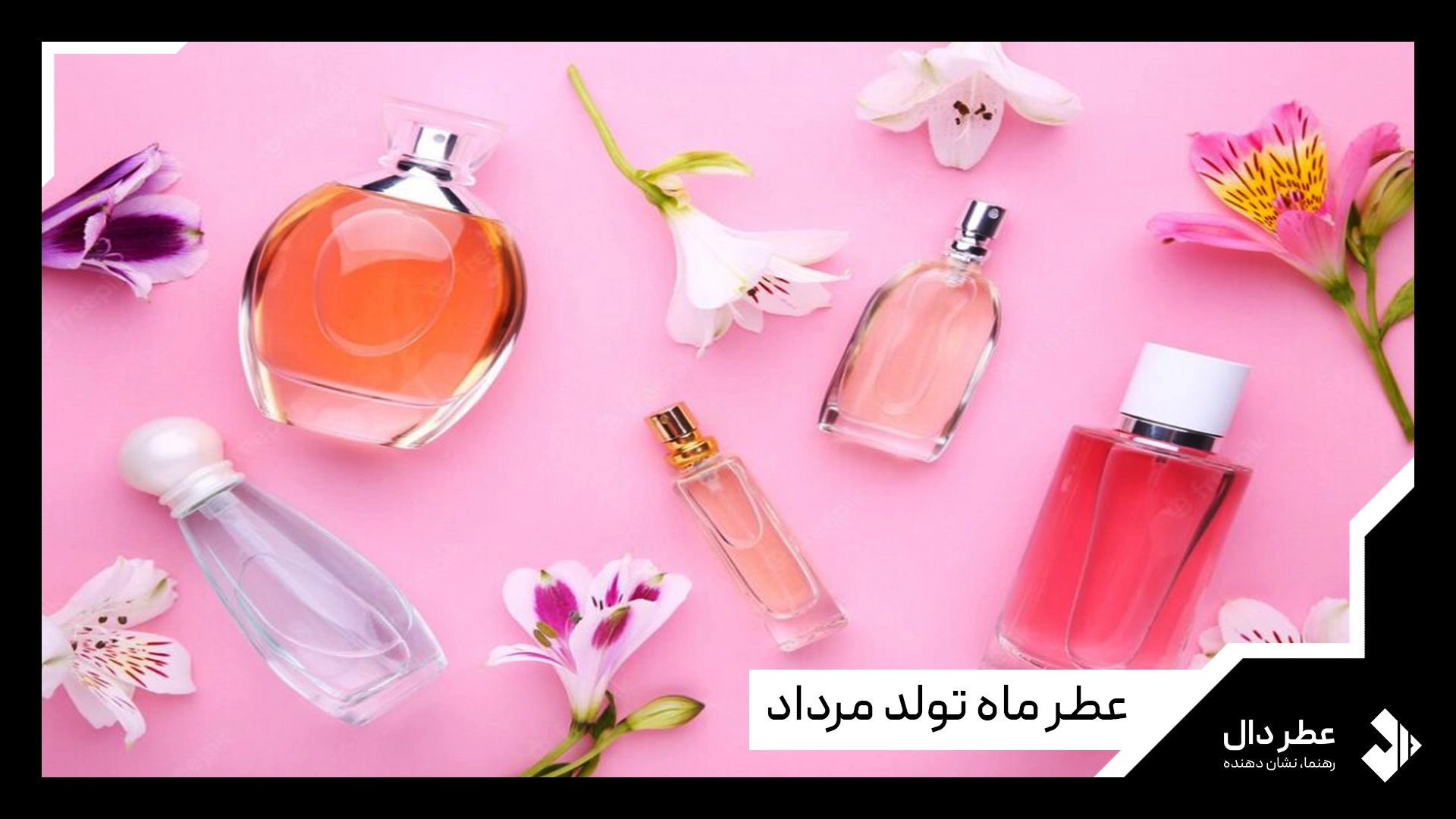 عطر ماه تواد مرداد