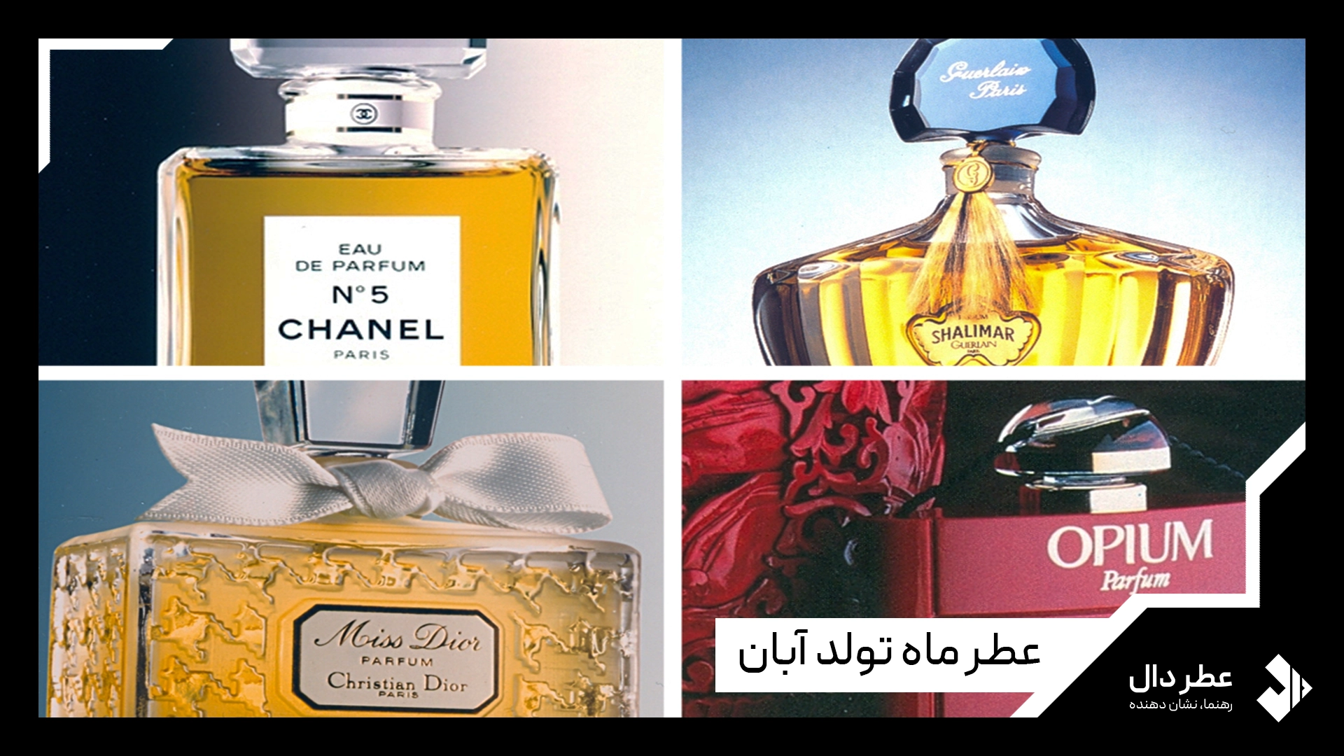 عطر ماه تولد آبان