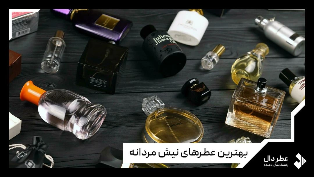 بهترین عطرهای نیش مردانه