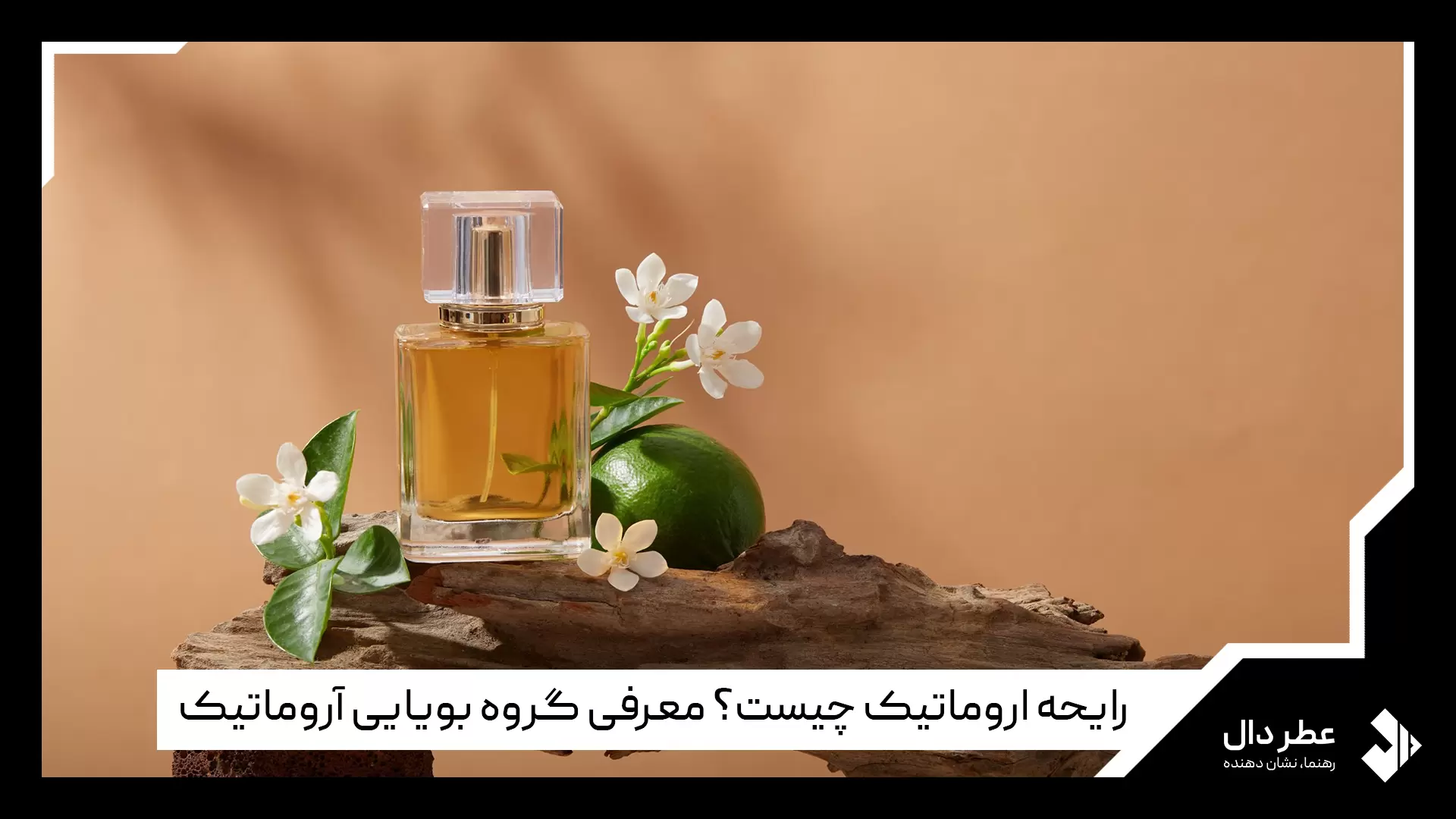 رایحه آروماتیک